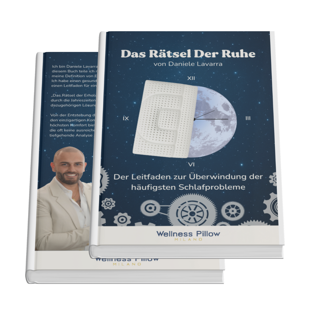 Das Rätsel der Ruhe von Daniele Lavarra